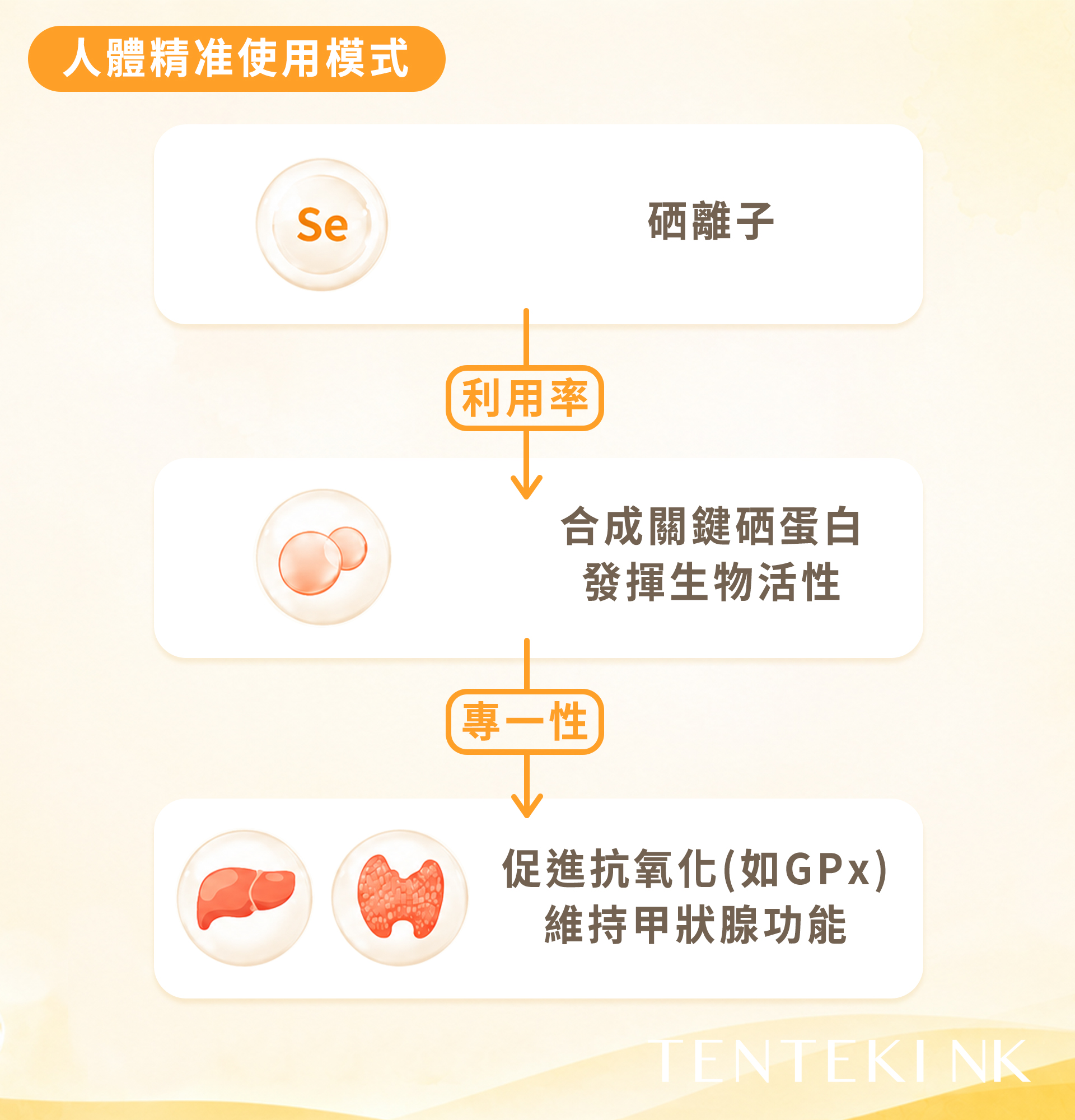 ALL_news_services_26F12_Iz4pK064ID
